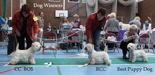 2014 Dog-Winners 2014 Dog-Winners