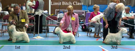 2014 Limit-Bitch-Class 2014 Limit-Bitch-Class