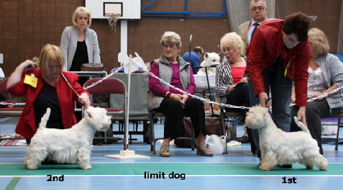 2014 Limit-dog 2014 Limit-dog