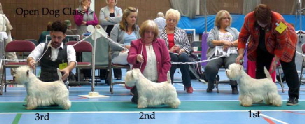 2014 Open-Dog-Class2 2014 Open-Dog-Class2