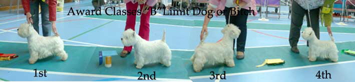 2014 awards-class-b-Limit-Dog-or-Bitch 2014 awards-class-b-Limit-Dog-or-Bitch