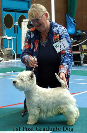 2015 1st-Post-graduate-Dog1 2015 1st-Post-graduate-Dog1