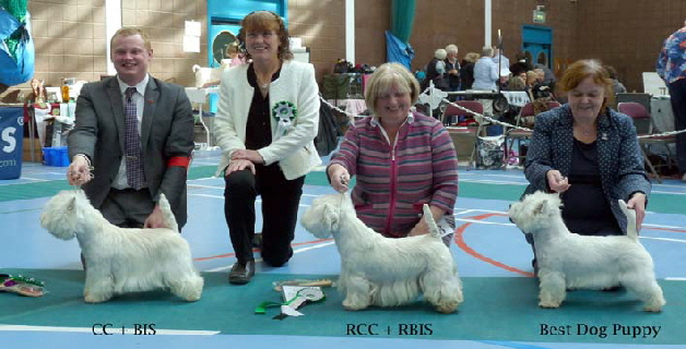 2015 Dog-Winners1 2015 Dog-Winners1