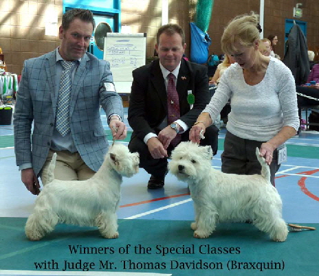 2015 Special-Classes-Winners 2015 Special-Classes-Winners
