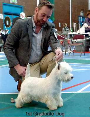 1st Graduate dog web 1st Graduate dog web