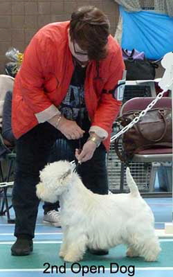 2nd Open Dog RCC2web 2nd Open Dog RCC2web