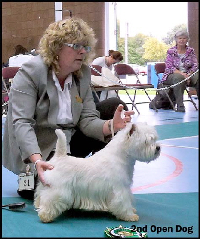 2nd Open Dogwe 2nd Open Dogwe