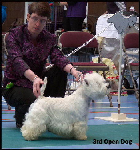 3rd Open Dogweb 3rd Open Dogweb