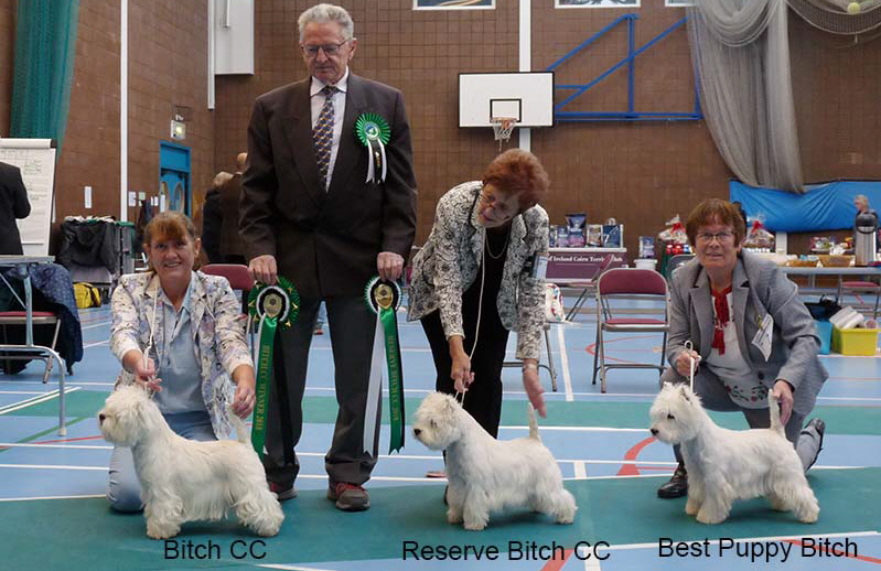 BCC RCC and BPB BCC RCC and BPB