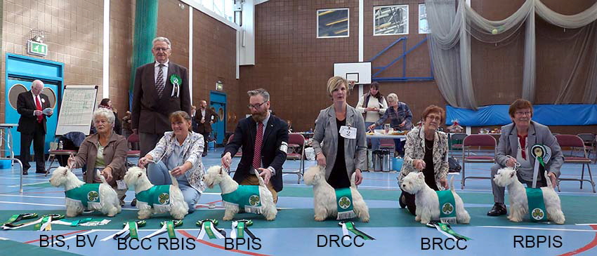 BIS and Best veteran RBIS RCC winners BP and RBP BIS and Best veteran RBIS RCC winners BP and RBP