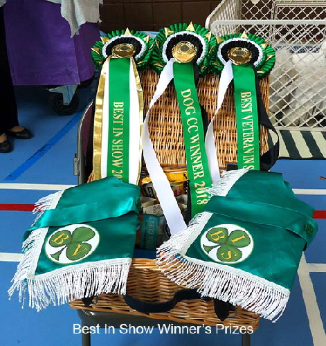 BIS winner Prizes BIS winner Prizes