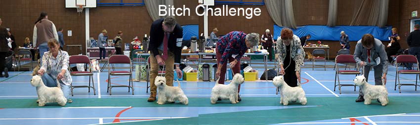 Bitch Challenge Bitch Challenge