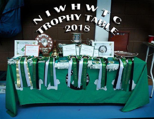 Trophy Table Trophy Table