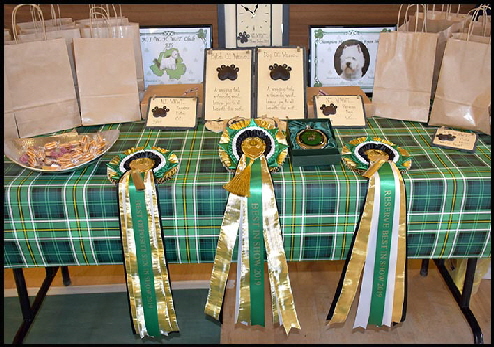 Rosettes and prizes web Rosettes and prizes web