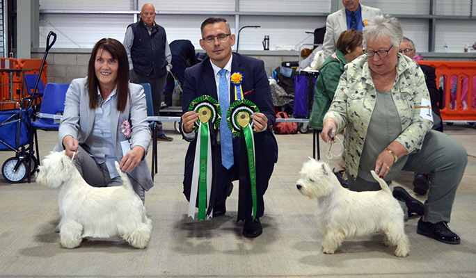 BCC and BIS Ch Burneze Our Marnie RBCC White Villan Queen Of The Night BCC and BIS Ch Burneze Our Marnie RBCC White Villan Queen Of The Night