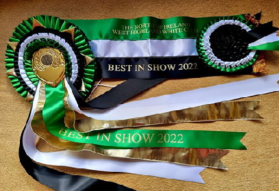 Rosettes1 Rosettes1