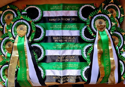 Rosettes2 Rosettes2