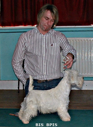 BISBPIS08openshow08