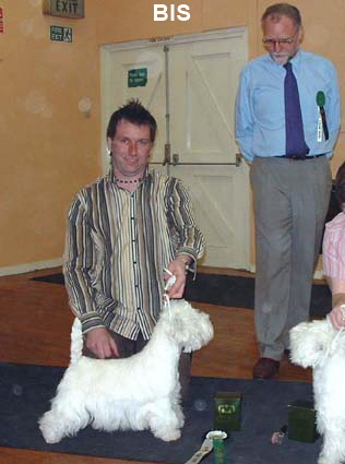 BISOpenShow 2005