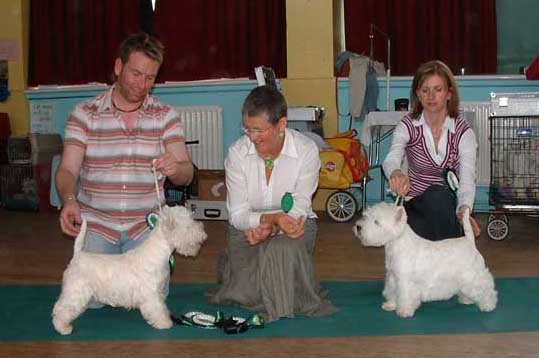 BIS & RBIS Ch Show 2006Web