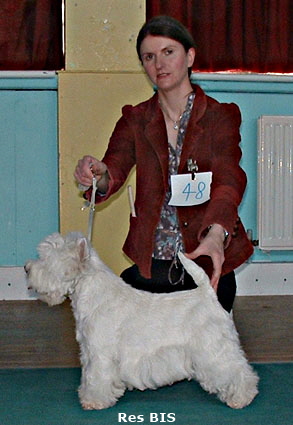RBIS08openshow08